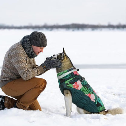 Dog Winter Coat 3XL Green