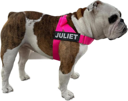 BULLHUG Harness – Made for Larger Chested Dogs Like English Bulldogs