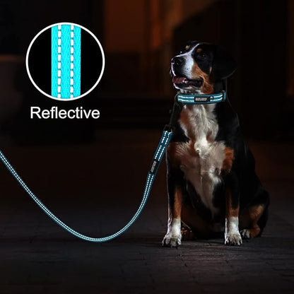 azuza Reflective Dog Collar