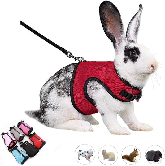 Bunny Harness and Leash Set, Rabbit Vest Hamster Leash Mesh Eescape Proof Walking Training for Small Animal Pets Rat Squirrel Ferret Guinea Pig Bunny,Red L