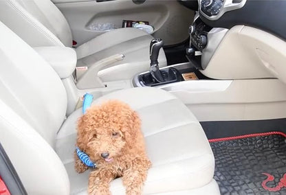 Adjustable Dog Seat Belt