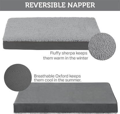 Friends Forever Orthopedic Dog Bed 30x20x3