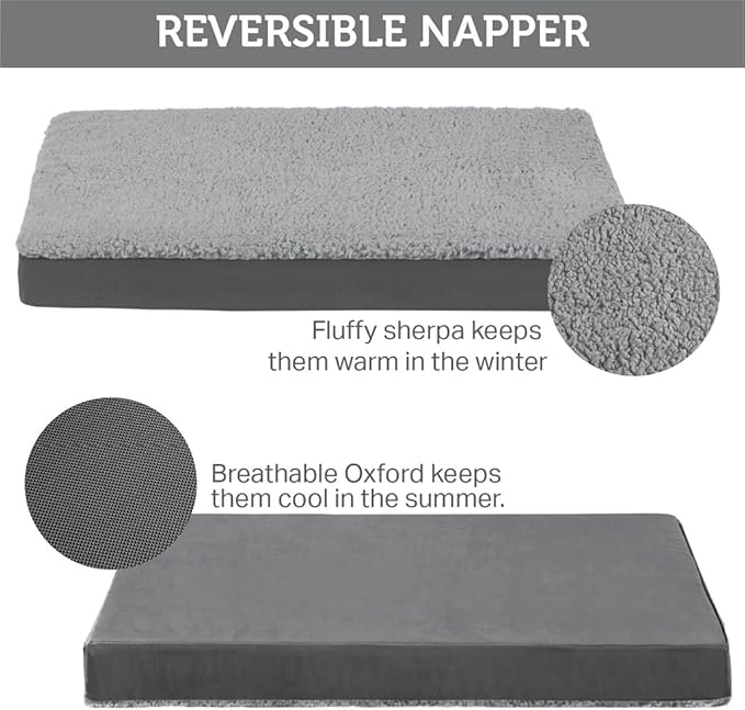 Friends Forever Orthopedic Dog Bed 44x32x3.5