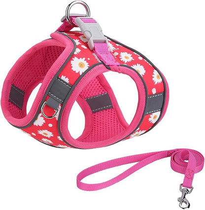 Step in Dog Harness No Pull Flower Adjustable Soft Mesh Padded Reflective Velcro Pet Vest Harness and Leash Set for Small Medium Dogs