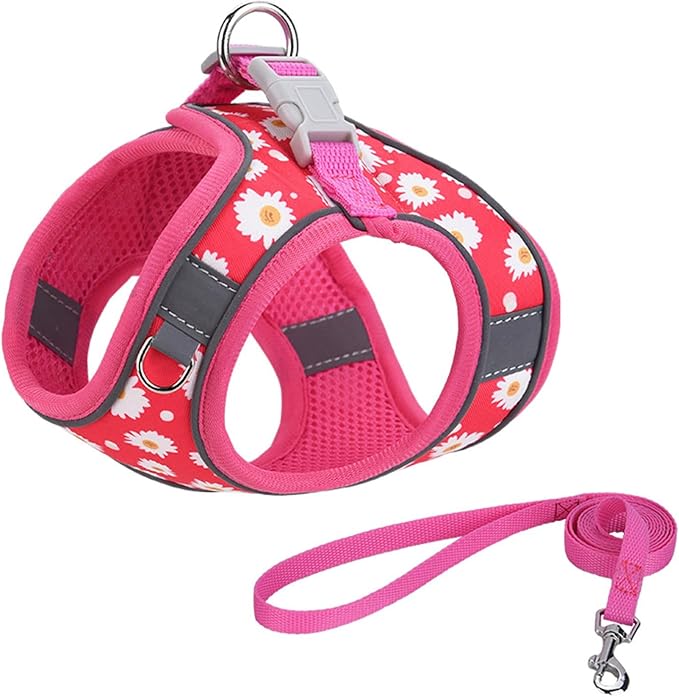 Step in Dog Harness No Pull Flower Adjustable Soft Mesh Padded Reflective Velcro Pet Vest Harness and Leash Set for Small Medium Dogs