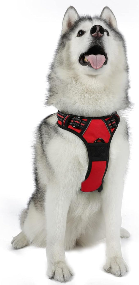 rabbitgoo Dog Harness, No-Pull Pet Harness with 2 Leash Clips, Adjustable Soft Padded Dog Vest, Reflective No-Choke Pet Oxford Vest with Easy Control Handle for Large Dogs, Red, XL