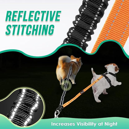 Two Dog Lead 2 in 1 Upgraded