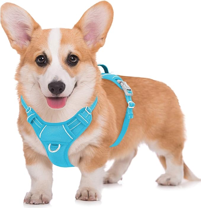 BARKBAY No Pull Dog Harness Large Step in Reflective Dog Harness with Front Clip and Easy Control Handle for Walking Training Running with ID tag Pocket(Blue,M)