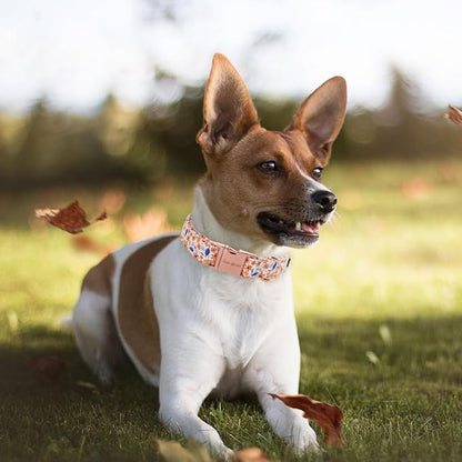 Unique style paws Dog Collar Metal Buckle Collar