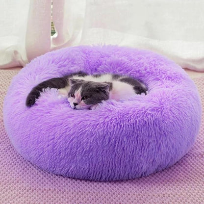 Cat Beds for Indoor Cats