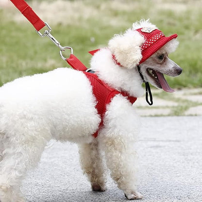 Leconpet Princess Pet Hat Dog Caps Hats with Neck Strap Adjustable Comfortable Ear Holes for Small Medium Dogs in Outdoor Sun Protection (S