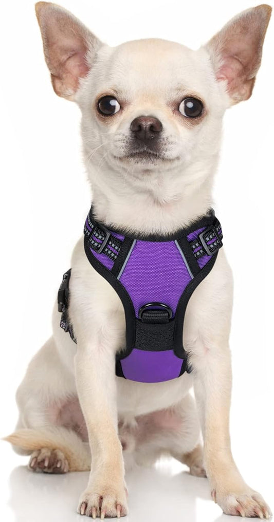 rabbitgoo Dog Harness 2 Leash