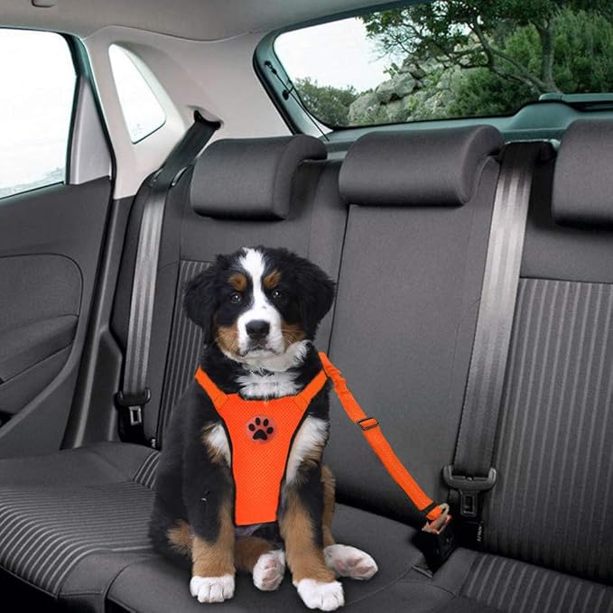 Lukovee Dog Seat Belt for Car, Adjustable Dog Car Harness for Large Medium Small Dogs, Soft Padded & Breathable Mesh Dog Seatbelt with Car Vehicle Connector Strap (Orange,XX-Small)