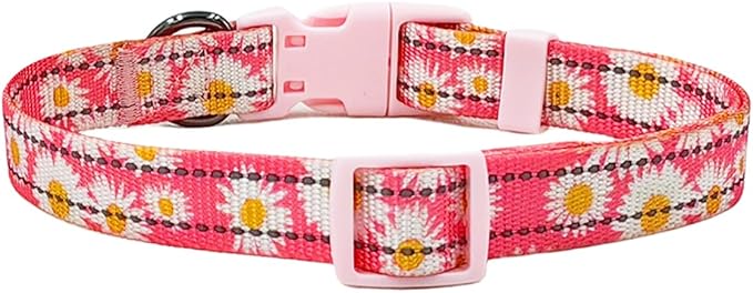 Floral Pattern Dog Collar