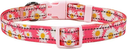Floral Pattern Dog Collar