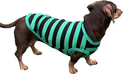 Dachshund Clothes for Dogs Mini and Adults T Shirts (XL
