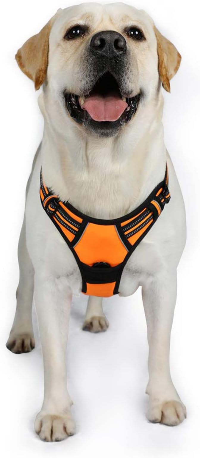 rabbitgoo Dog Harness, No-Pull Pet Harness with 2 Leash Clips, Adjustable Soft Padded Dog Vest, Reflective No-Choke Pet Oxford Vest with Easy Control Handle for Large Dogs, Orange, XL