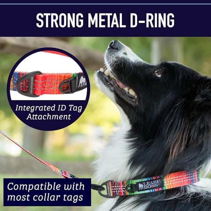 Leashboss Patterned Reflective Dog Collar 13.5"-19.5" Neck 1" Wide,
