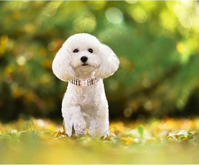 Lionheart glory Plaid Dog Collars Fall Dog Collar