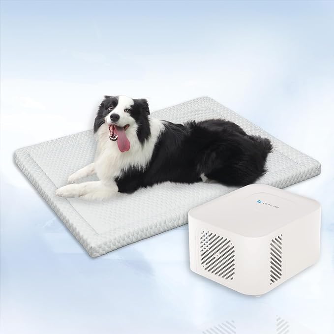 Pet Pad Cooling System for Summer