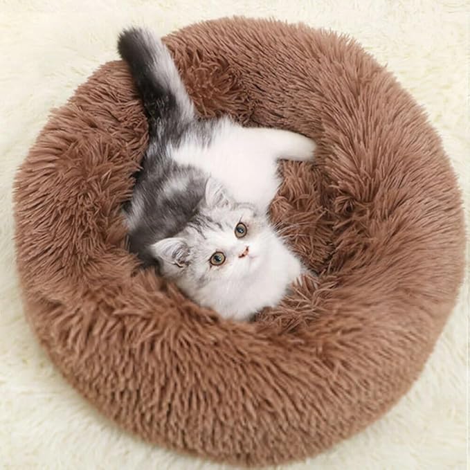 Geizire 24 inch Cat Bed Dog Bed for Cats