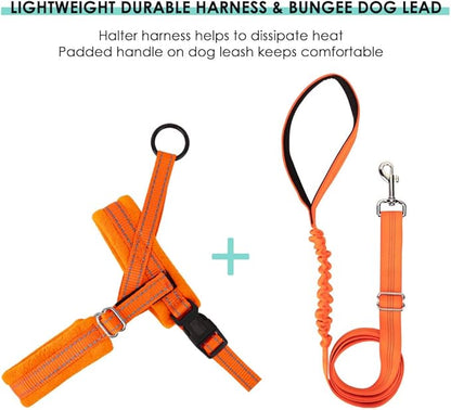 Lukovee Dog Harness and Leash Set, Soft Padded Small Dog Harness, Neck & Chest Adjustable Reflective Vest Puppy Harness with 4ft Lightweight Anti-Twist Dog Leash for Small Dogs (Orange, XX-Small)