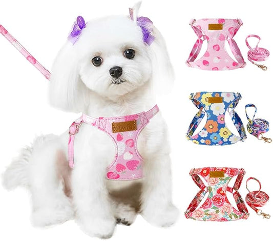 SlowTon No Pull Dog Harness with Leash - Soft Lightweight Floral Pattern Puppy Harness, Adjustable Pet Harness for Small Medium Dogs (Strawberry XXS)