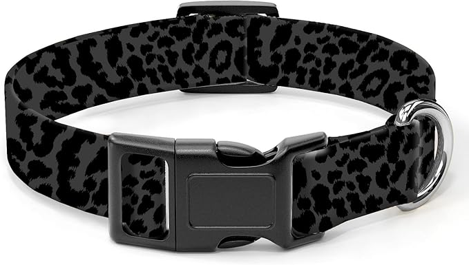 Dog Collar