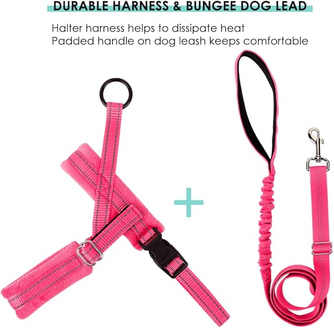 Lukovee Dog Harness and Leash Set, Soft Padded Small Dog Harness, Neck & Chest Adjustable Reflective Vest Puppy Harness with 4ft Lightweight Anti-Twist Dog Leash for Small Dogs (X-Small, Pink)