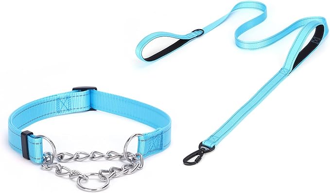 Martingale Dog Collar with Stainless Steel Chain and Leash Set 5FT Double