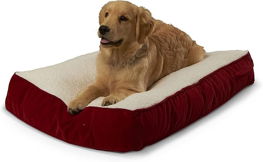 South Pine Porch Buddy Rectangle Pillow Style Dog Bed (24" x 36")