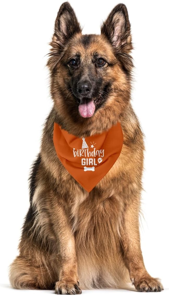 Dog Birthday Bandana (A25)
