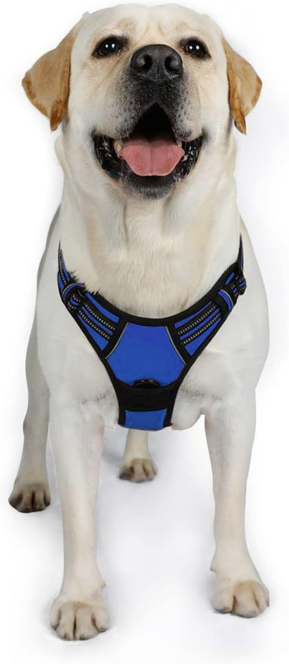 rabbitgoo Dog Harness, No-Pull Pet Harness with 2 Leash Clips, Adjustable Soft Padded Dog Vest, Reflective No-Choke Pet Oxford Vest with Easy Control Handle for Large Dogs, Dazzling Blue, XL