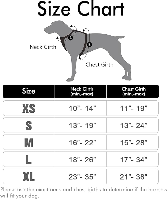 rabbitgoo Dog Harness, No-Pull Pet Harness with 2 Leash Clips, Adjustable Soft Padded Dog Vest, Reflective No-Choke Pet Oxford Vest with Easy Control Handle for Large Dogs, Black, XL