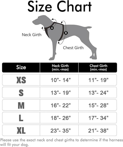 rabbitgoo Dog Harness 2 Leash