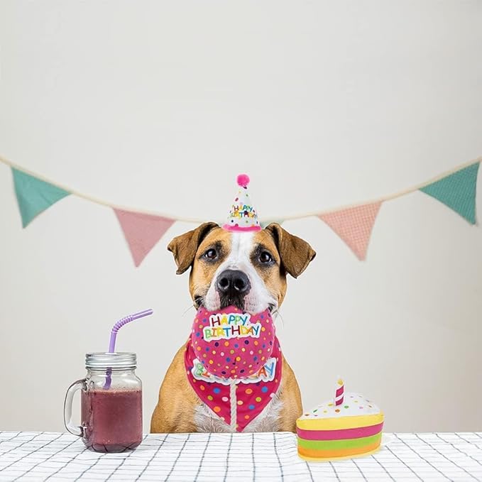 BINGPET Dog Birthday Bandana Set with Cake,Dog Birthday Cake and Balloon,Dog Birthday Party Supplies for Boys and Girls,Puppy Chew Toys Gift for Large and Extra Large Dogs Pets - Pink