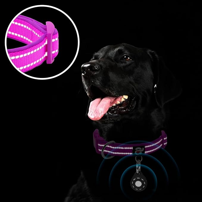 azuza Reflective Dog Collar with Airtag Holder
