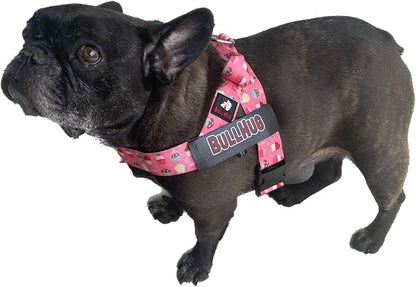 BULLHUG Harness – Made for Larger Chested Dogs Like English Bulldogs