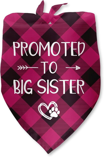 Promoted to Big Sister Dog Bandana Gender Reveal