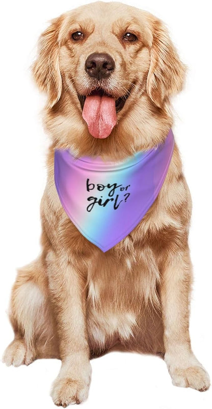 He Or She What Will It Be? Gender Reveal/Baby Announcement Dog Bandana,Pet Neckerchief for Pets Daily Wear Photo Prop Party Supplies (Colorful)