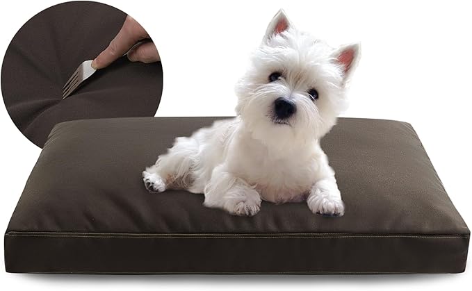 Miguel Durable Canvas Dog Bed 14 Ounce 24 x 18 inch,