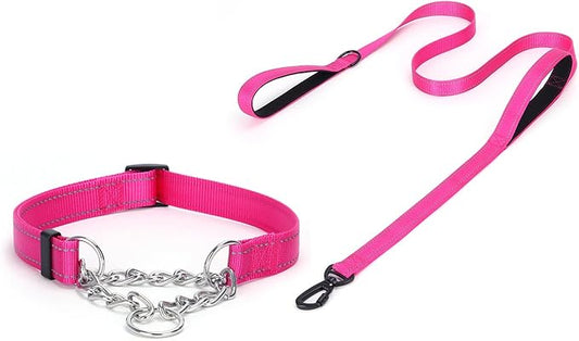 Martingale Dog Collar with Stainless Steel Chain and Leash Set 5FT Double