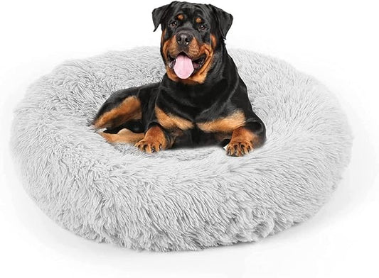 Dog Bed