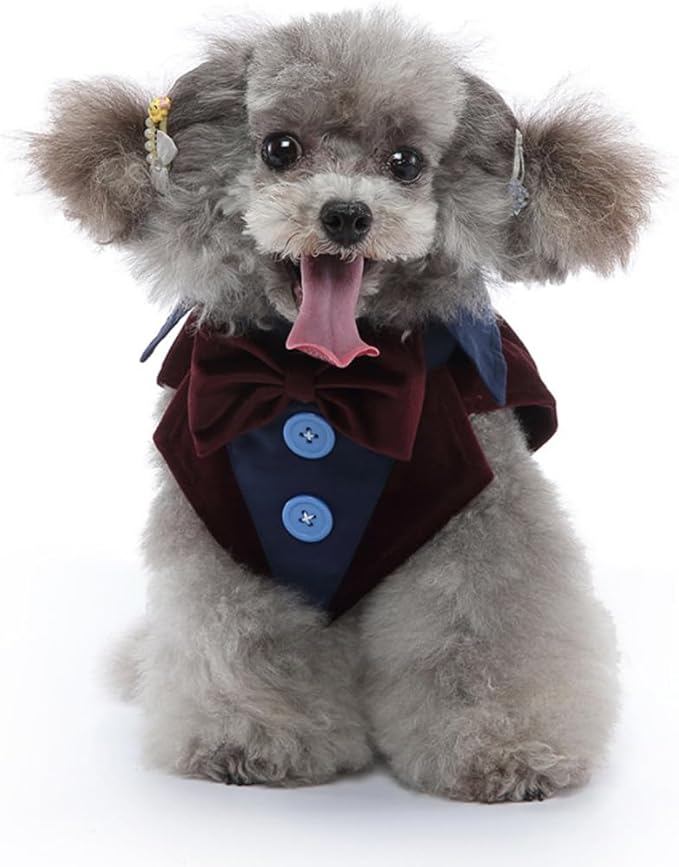 Puppy Velvet Tuxedo with Detachable Bowtie Prom Wedding Formal Wear Prince Costume for Small Dog (Small, Coffee)