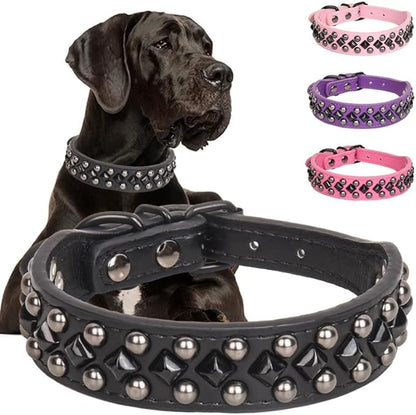 Dog Collars for Small Dogs