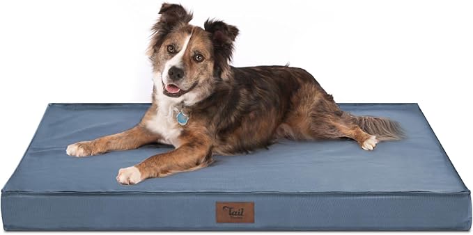 Orthopedic Dog Bed for Large Dogs