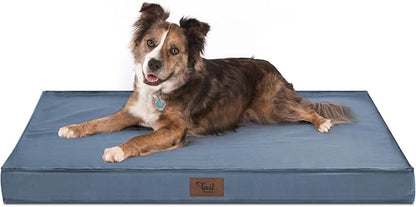 Orthopedic Dog Bed for Large Dogs