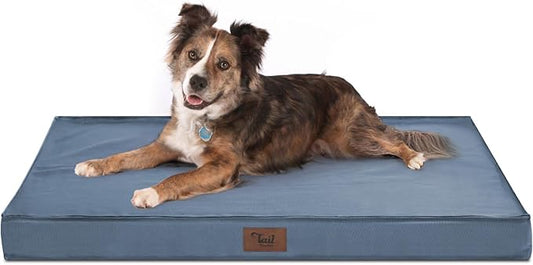 Orthopedic Dog Bed for Large Dogs
