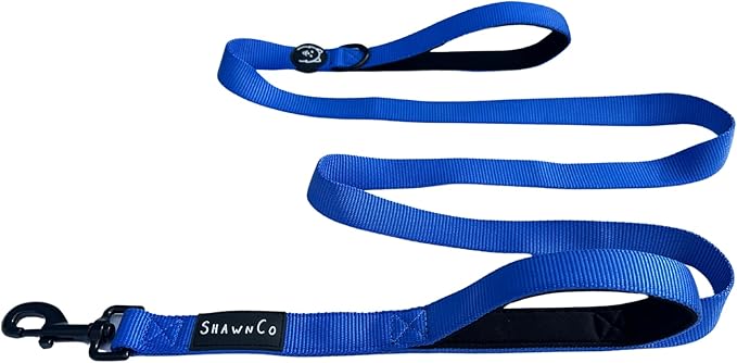 ShawnCo Dream Walk Dog Leash- Premium, Nylon Pet Leash with Soft Neoprene Handle for Small, Medium and Large Dogs (Electric Blue, M/L 6FT w/ 2 Handles)