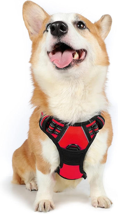 rabbitgoo Dog Harness, No-Pull Pet Harness with 2 Leash Clips, Adjustable Soft Padded Dog Vest, Reflective No-Choke Pet Oxford Vest with Easy Control Handle for Medium Dogs, Red, M